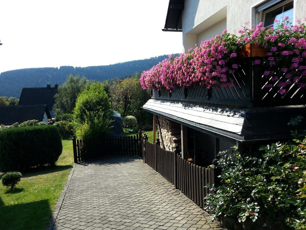 Ferienwohnungen Luge - Winterberg Kültér fotó