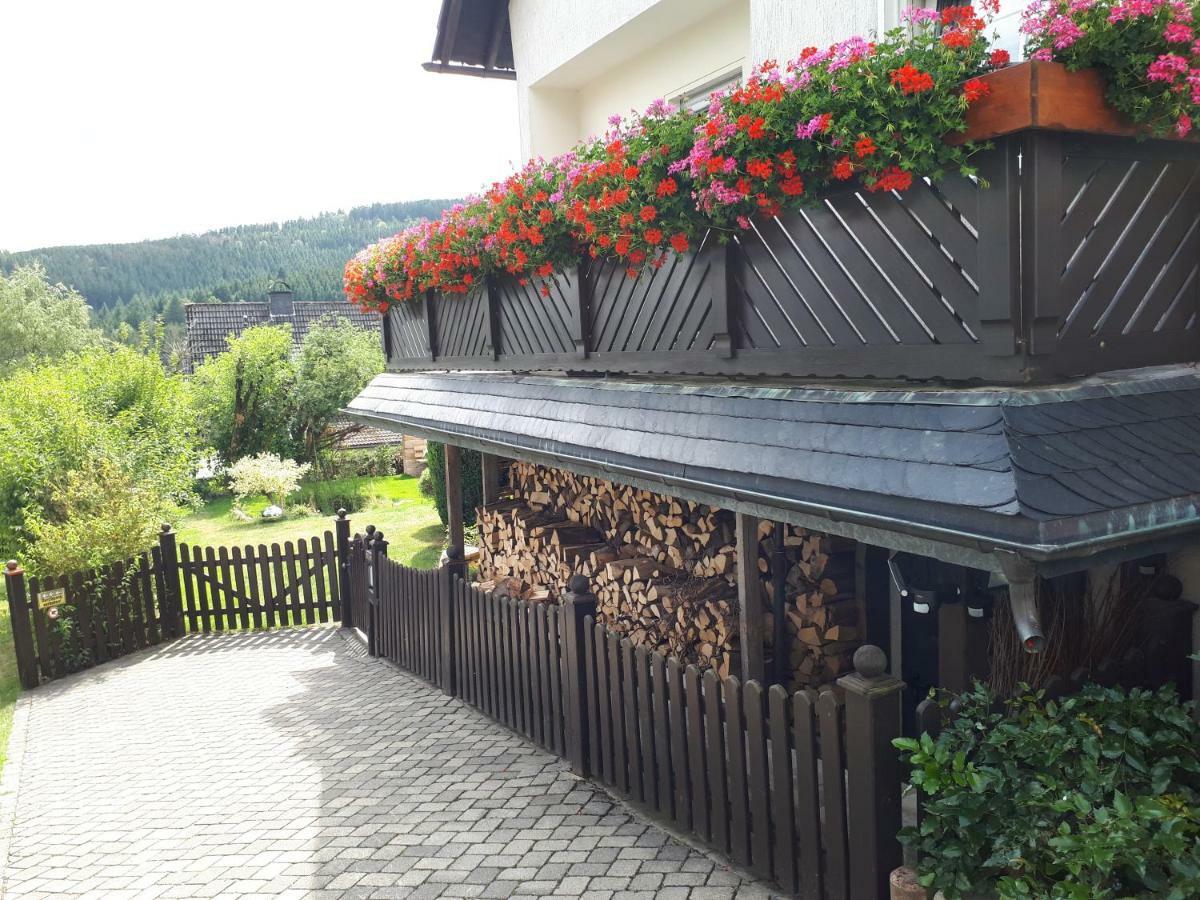 Ferienwohnungen Luge - Winterberg Kültér fotó