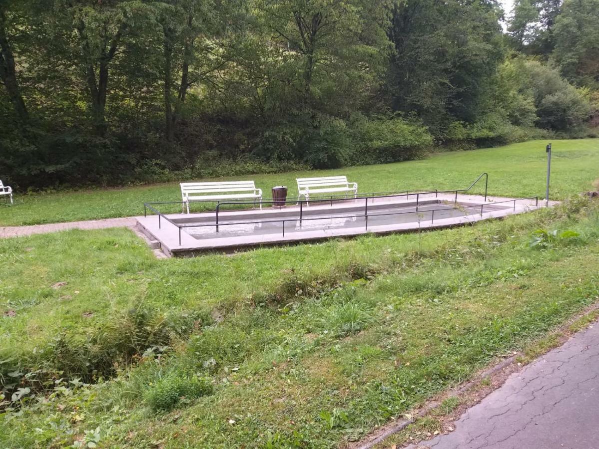 Ferienwohnungen Luge - Winterberg Kültér fotó