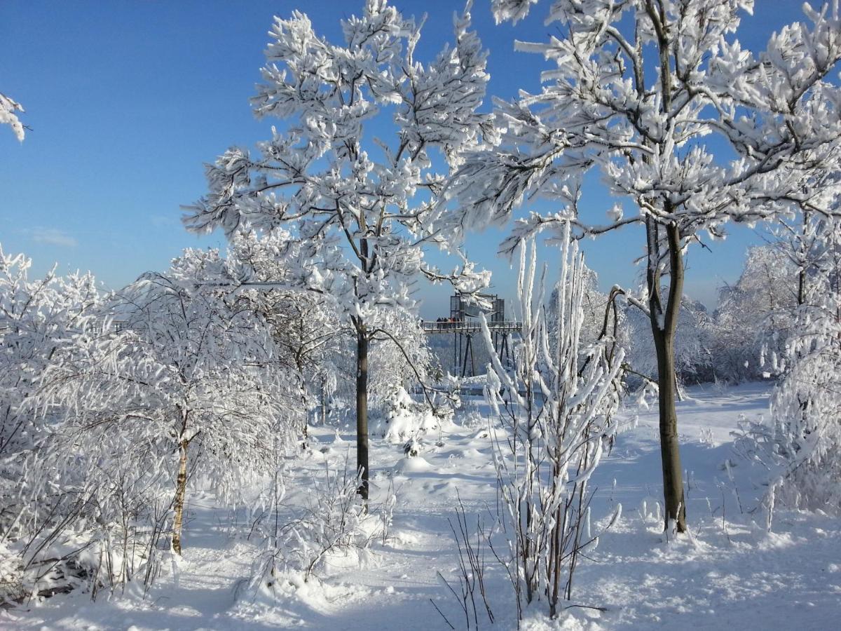 Ferienwohnungen Luge - Winterberg Szoba fotó