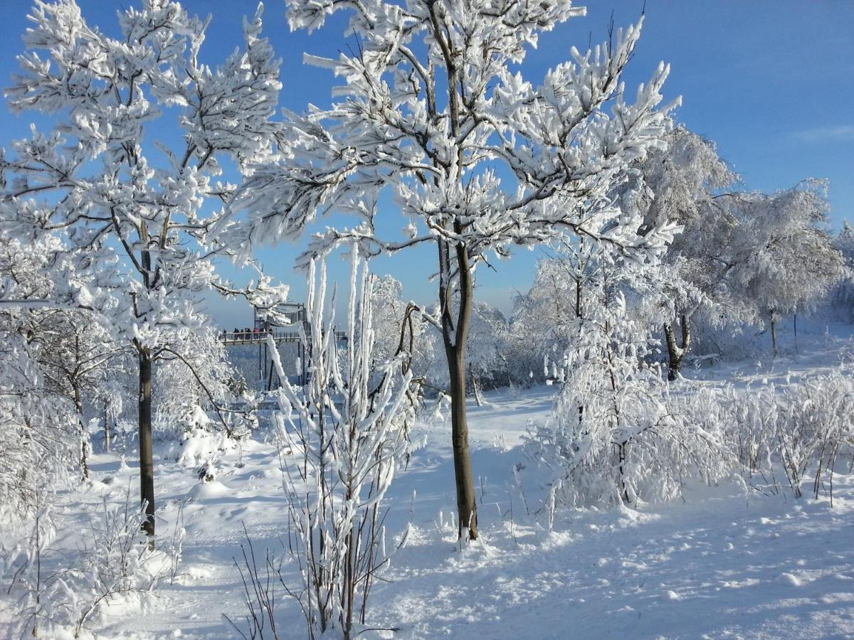 Ferienwohnungen Luge - Winterberg Szoba fotó